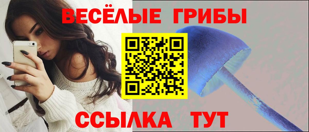 Псилоцибиновые грибы Magic Shrooms Ачинск